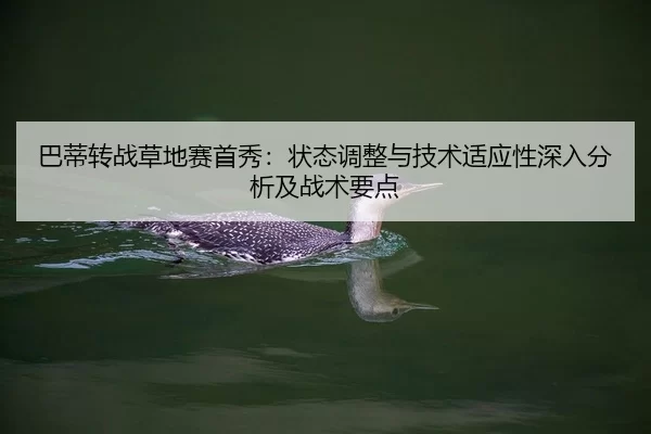 巴蒂转战草地赛首秀：状态调整与技术适应性深入分析及战术要点